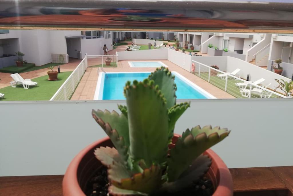דירות Blue Ocean Corralejo: Sunny Terrace, Pool, Wifi מראה חיצוני תמונה